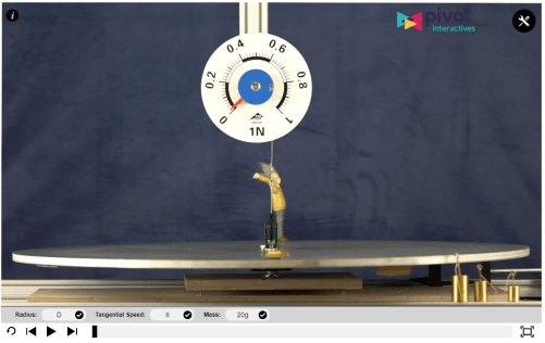 pivot central net force.PNG