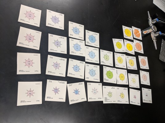 chem card sort.jpg