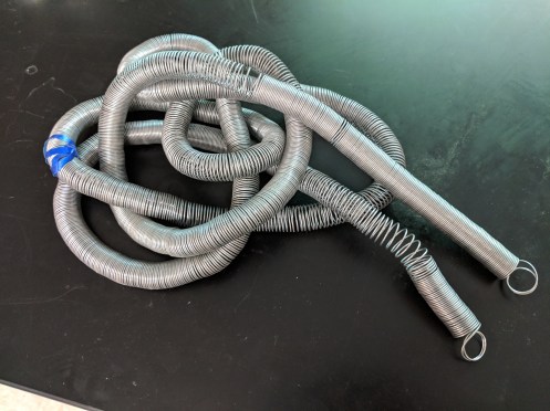 phys snakey.jpg